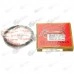 Segmenti Briggs and Stratton Quantum, Sprint 4.5cp, 5.5cp 68.25mm 499425, 499631 (Terra) 